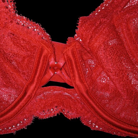 Simone Pérèle Implicite Frivole Sheer Plunge Lace Bra Poppy Red 32D NWT - Picture 2 of 5
